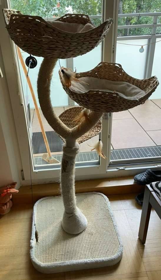 Katze Kratzbaum Blume Wasserhyazinthe,  0,- (1210 Wien) - willhaben