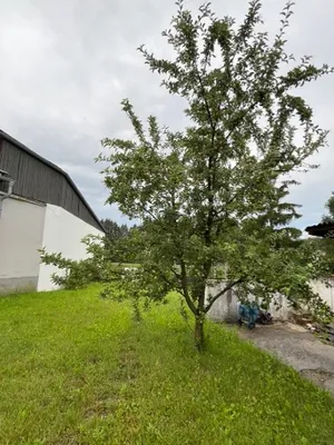 6-Zimmer-Haus kaufen in Oberpullendorf – 177 m², € 256.000 – Bild 4 von 18