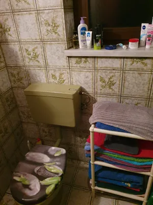 2-Zimmer-Immobilie mieten in Hollabrunn – 36 m², € 599 – Bild 16 von 18
