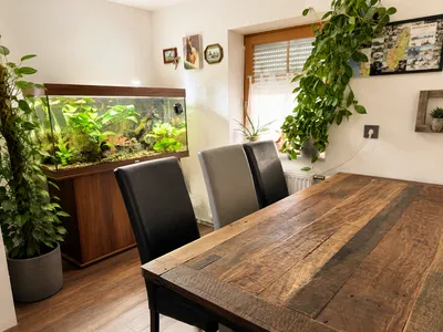 3-Zimmer-Wohnung kaufen in Ried im Innkreis – 73 m², € 239.000 – Bild 4 von 15