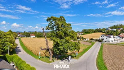 Grundstück zum Kauf in 2102 Korneuburg