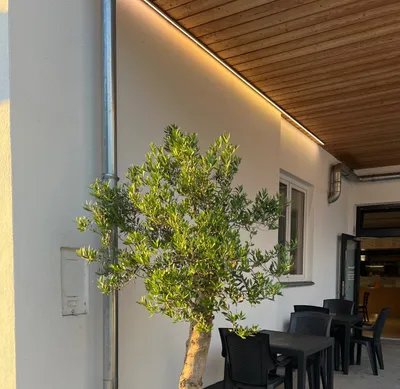 Gewerbeimmobilie kaufen in Hallein – 85 m², € 79.000 – Bild 6 von 7