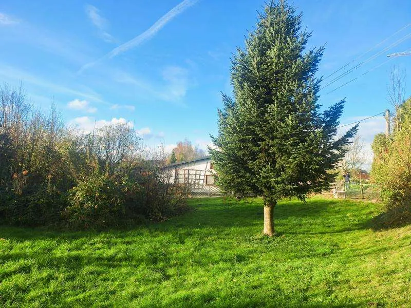 Baugrundstück mit Altbestand und Blick ins Grüne in ländlicher Ruhelage - Ansicht 3