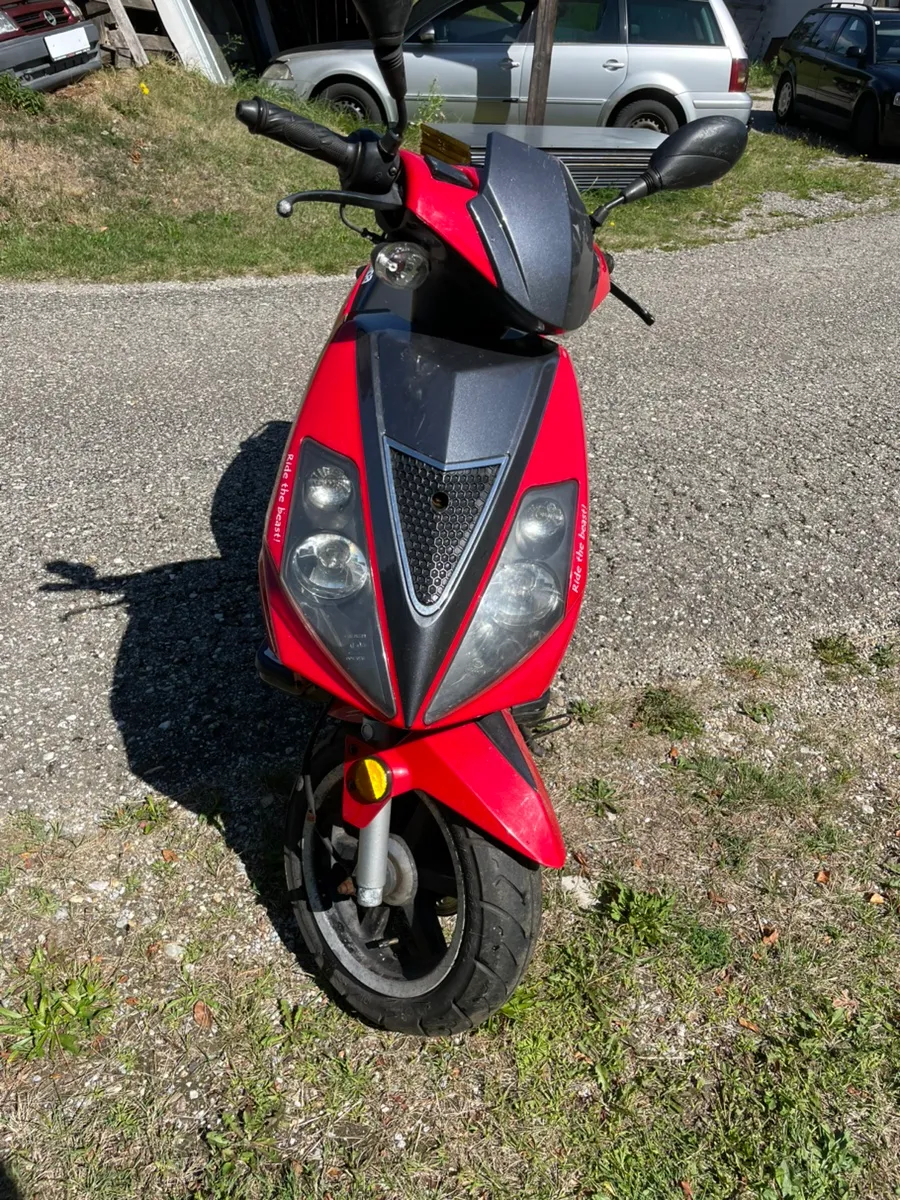 Tauris Samba