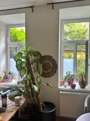 2-Zimmer-Wohnung mieten in Wien – 62 m², € 762 – Bild 13 von 19