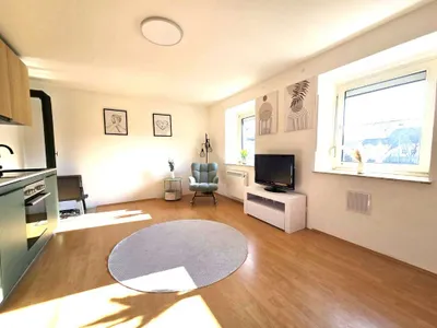 1-Zimmer-Wohnung mieten in Linz Land – 27 m², € 399 – Bild 3 von 6