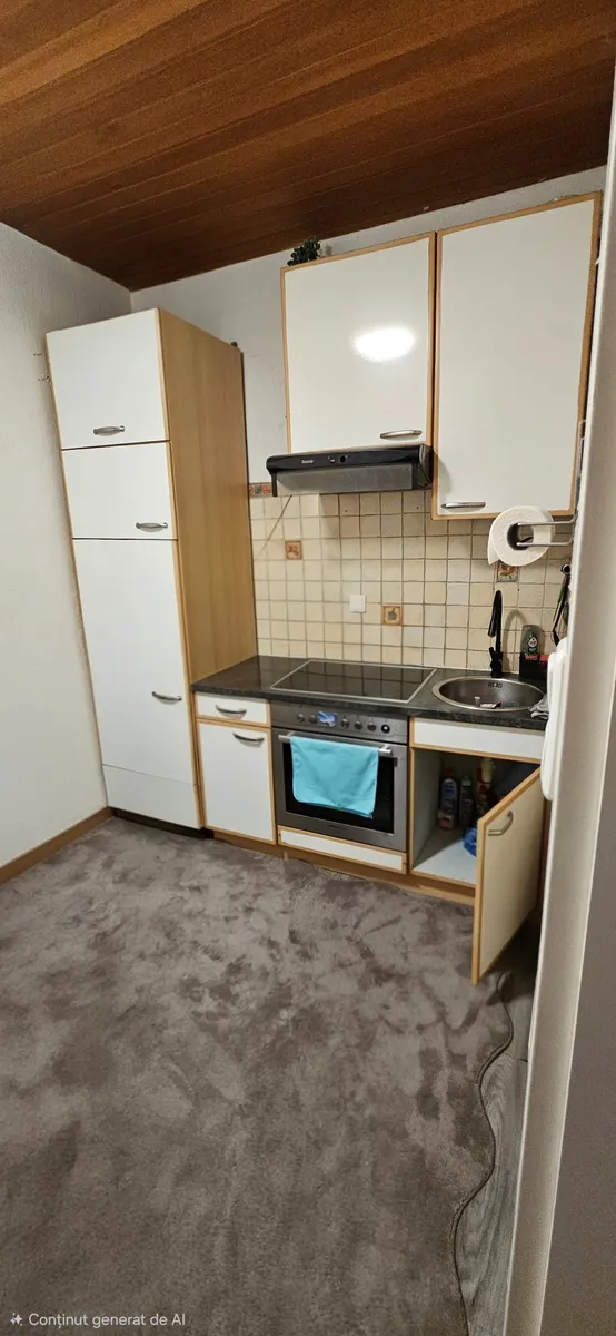 Wohnung – Linz - Ansicht 3