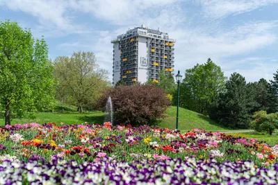 2-Zimmer-Wohnung mieten in Wien – 50 m², € 1.270 – Bild 13 von 19