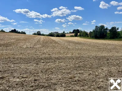 Grundstück kaufen in Linz Land – 3 012 m², € 1.237.860 – Bild 6 von 7