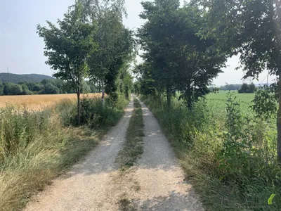 Immobilie kaufen in Neunkirchen – 314 000 m², € 1.980.000 – Bild 9 von 9