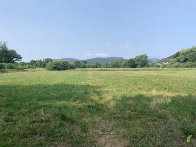 Immobilie kaufen in Neunkirchen – 314 000 m², € 1.980.000 – Bild 7 von 9