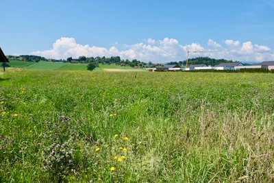 Immobilie mieten in Graz-Umgebung – € 1.800 – Bild 39 von 40
