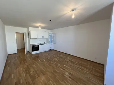 1-Zimmer-Wohnung mieten in Wien – 31,84 m², € 659 – Bild 2 von 8
