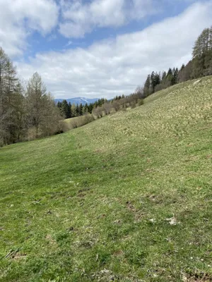 Immobilie kaufen in Murtal – 31 775 m² – Bild 4 von 6