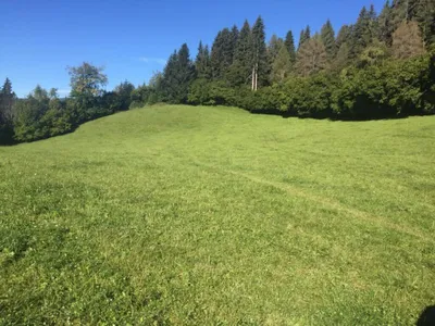 Immobilie kaufen in Murtal – 31 775 m² – Bild 5 von 6