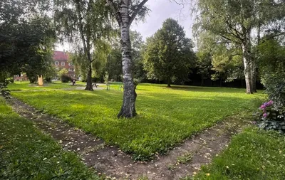 2-Zimmer-Wohnung mieten in Leoben – 45 m², € 510 – Bild 12 von 13