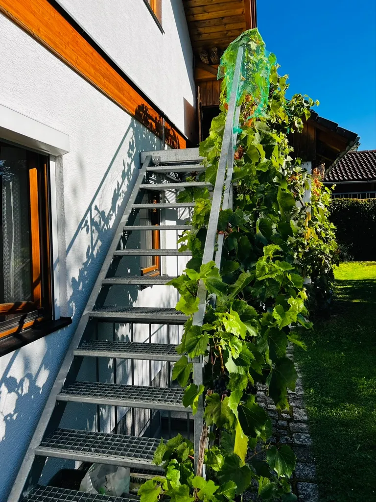 Haus – Rohrbach in Oberösterreich - Ansicht 3