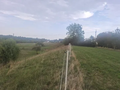 Grundstück kaufen in Wels-Land – 656 m² – Bild 6 von 7