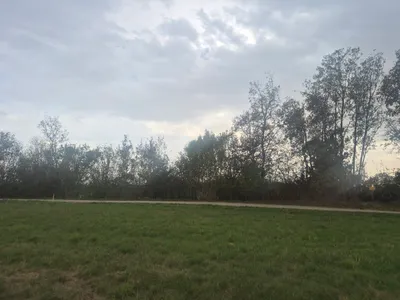 Grundstück kaufen in Wels-Land – 656 m² – Bild 7 von 7