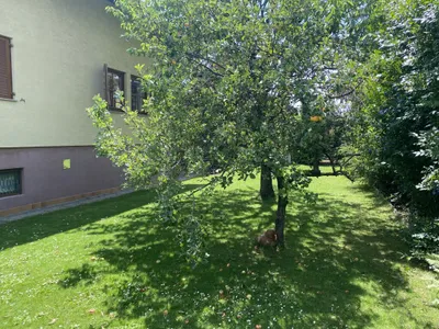 5-Zimmer-Haus kaufen in Wiener Neustadt Land – 120,87 m², € 349.780 – Bild 26 von 34