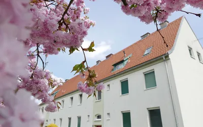 2-Zimmer-Wohnung mieten in Bruck-Mürzzuschlag – 40,87 m², € 359