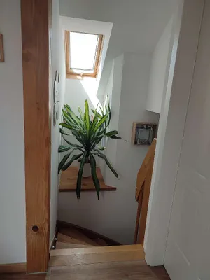 3-Zimmer-Wohnung mieten in Salzburg-Umgebung – 130 m², € 1.446 – Bild 11 von 15