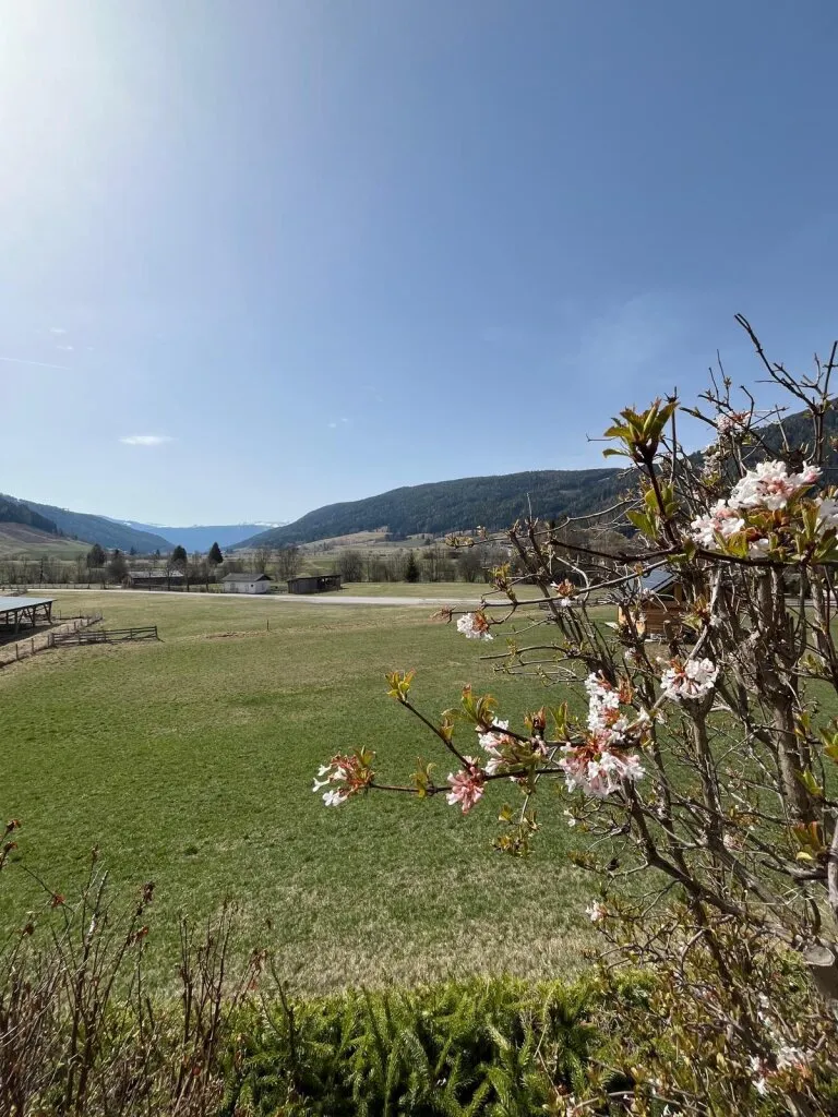 Haus – Mauterndorf, Neuseß-Moos - Ansicht 2
