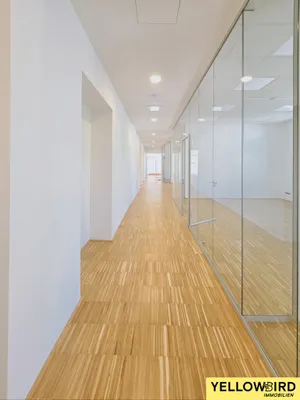 12-Zimmer-Gewerbeimmobilie mieten in Wien – 344 m², € 8.220 – Bild 21 von 27