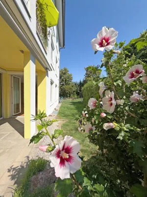 3-Zimmer-Wohnung kaufen in Linz Land – 86 m², € 270.000 – Bild 10 von 16