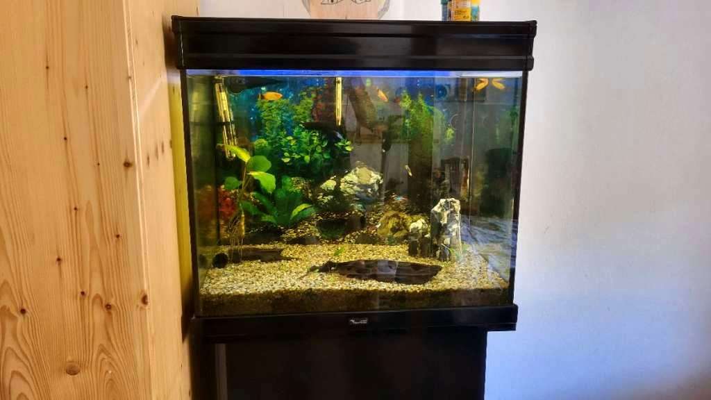 100L Aquarium shops mit Zubehör