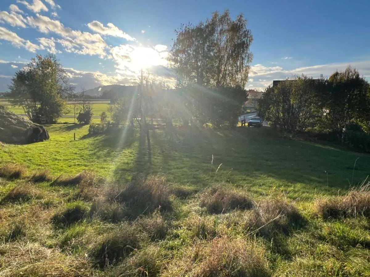 Großer sonniger Baugrund bei Gschwandt - Vedere 3