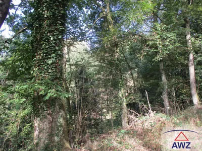 Grundstück kaufen in Urfahr-Umgebung – 18 970 m², € 52.000 – Bild 2 von 4