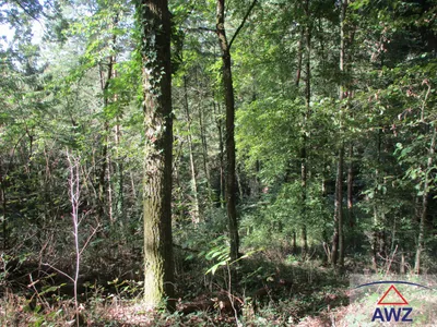 Grundstück kaufen in Urfahr-Umgebung – 18 970 m², € 52.000 – Bild 4 von 4