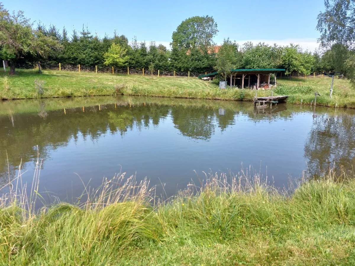 Fischteich / Freizeit Anlage - Ansicht 3