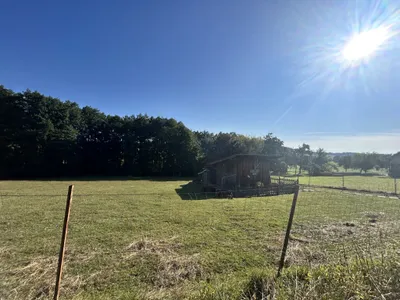 Grundstück kaufen in Vöcklabruck – 6 476 m², € 89.800 – Bild 4 von 12