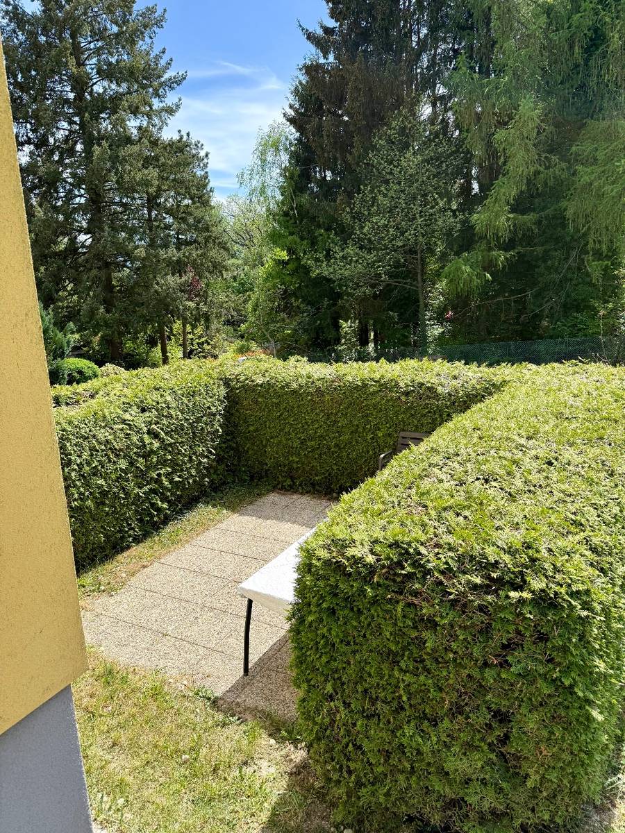 Mietwohnung in Top Ruhelage inkl. Keller und Garage - Ansicht 3