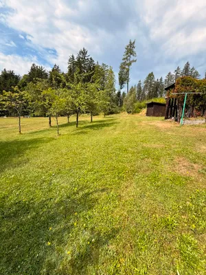 7-Zimmer-Haus kaufen in Gmünd – 150 m², € 130.000 – Bild 4 von 11