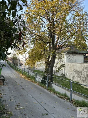Haus kaufen in Tulln – 339 m², € 1.590.000 – Bild 10 von 19