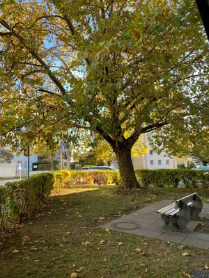 4-Zimmer-Wohnung kaufen in Linz – 113 m², € 245.000 – Bild 7 von 8