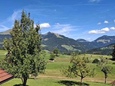 6-Zimmer-Haus kaufen in Hallein – 225 m², € 1.400.000 – Bild 10 von 11