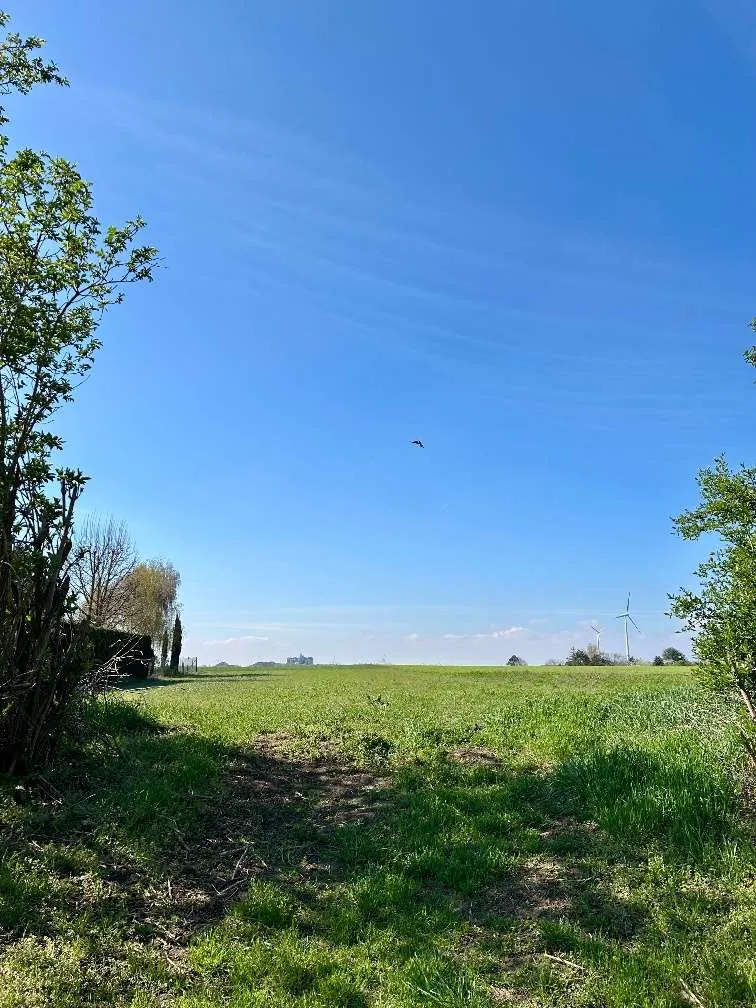Großes Baugrundstück mit Fernblick - 1.500 m² Bauland in Ruhelage, provisionsfrei - Bild 2