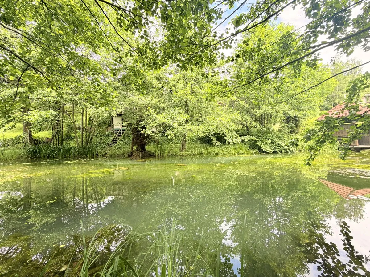 Ferienhaus mit weitläufigem Grundstück, Schwimmteich und natürlichem Wasserlauf - Ansicht 2