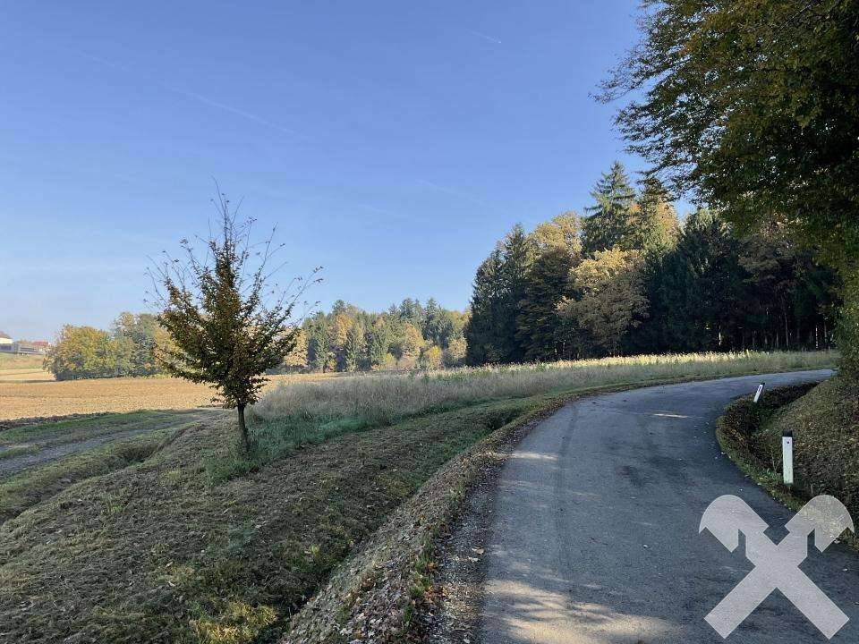 Kaufen statt Pachten - 4.384 m² Ackerland in St. Nikolai ob Drassling - Pogled 2