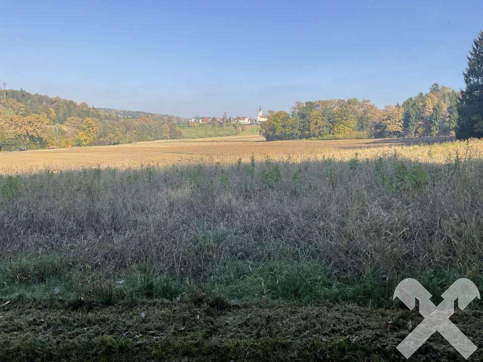 Kaufen statt Pachten - 4.384 m² Ackerland in St. Nikolai ob Drassling - Pogled 3