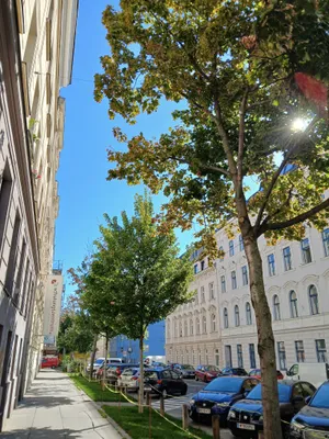 15-Zimmer-Wohnung kaufen in Wien – 29 m², € 139.900 – Bild 7 von 7