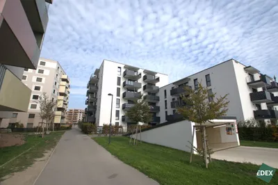 2-Zimmer-Wohnung mieten in Wien – 42,14 m², € 929 – Bild 10 von 15