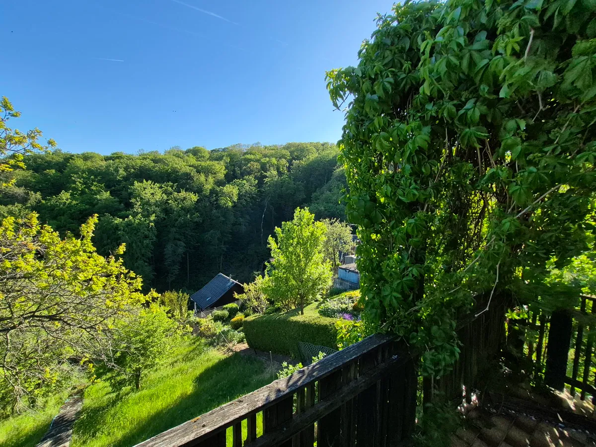 Wienerwald-Traum: Eigengrund mit Sommerhaus (privat) - Visning 3