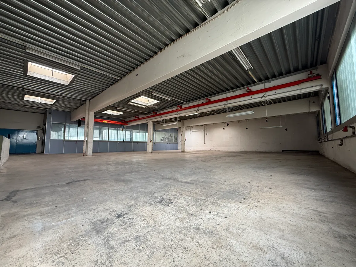 BOXEN · FITNESSSTUDIO · TRAINING · WERKSTATT- / LAGERFLÄCHE MIT DUSCHEN & KANTINE ·