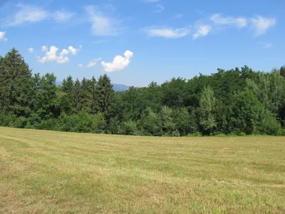 Haus kaufen in Deutschlandsberg – 1 213 m², € 59.000 – Bild 2 von 5