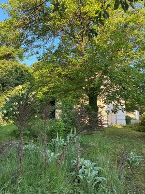 Grundstück kaufen in Krems an der Donau – 934 m², € 560.000 – Bild 2 von 13